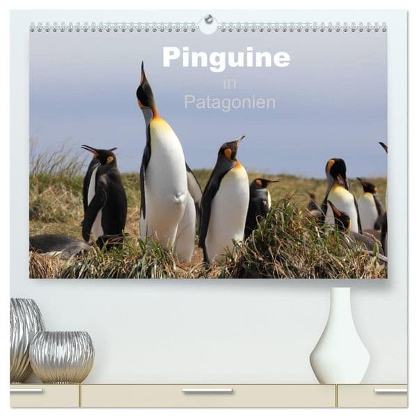 Pinguine in Patagonien (hochwertiger Premium Wandkalender 2027 DIN A2 quer), Kunstdruck in Hochglanz
