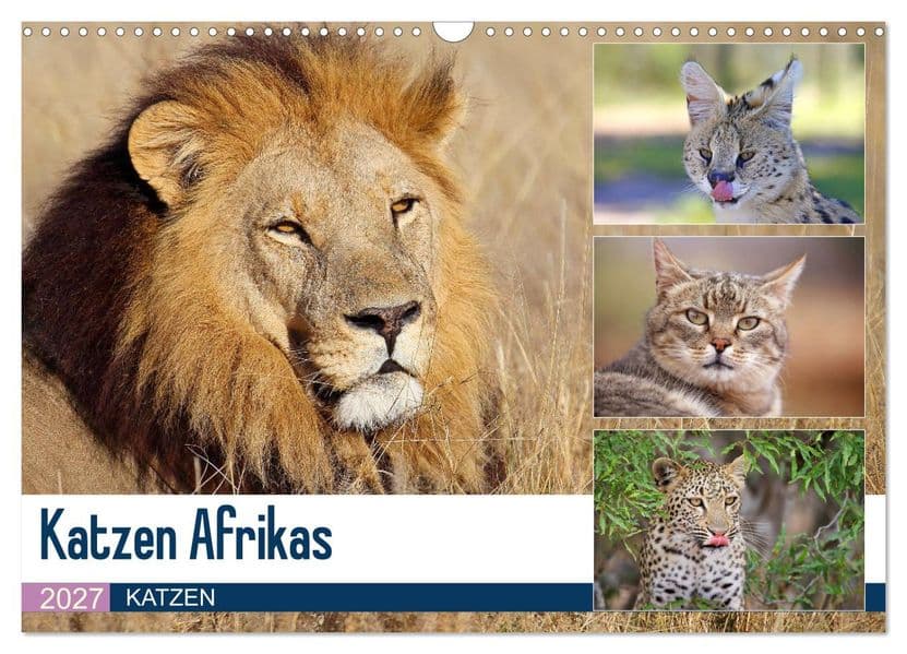Katzen Afrikas (Wandkalender 2027 DIN A3 quer), CALVENDO Monatskalender