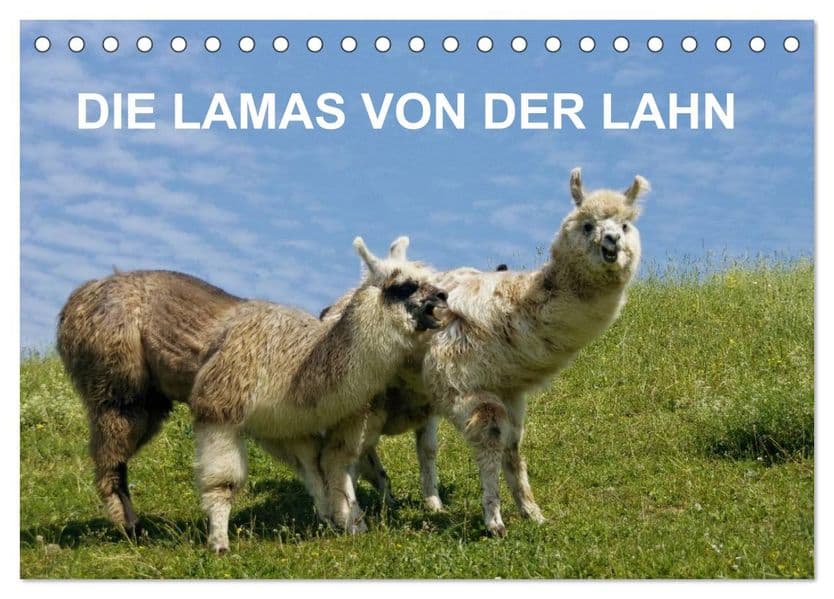 DIE LAMAS VON DER LAHN (Tischkalender 2027 DIN A5 quer), CALVENDO Monatskalender
