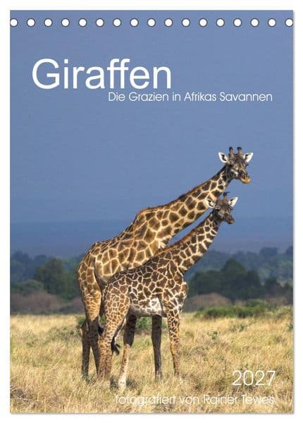 Giraffen - Die Grazien in Afrikas Savannen (Tischkalender 2027 DIN A5 hoch), CALVENDO Monatskalender