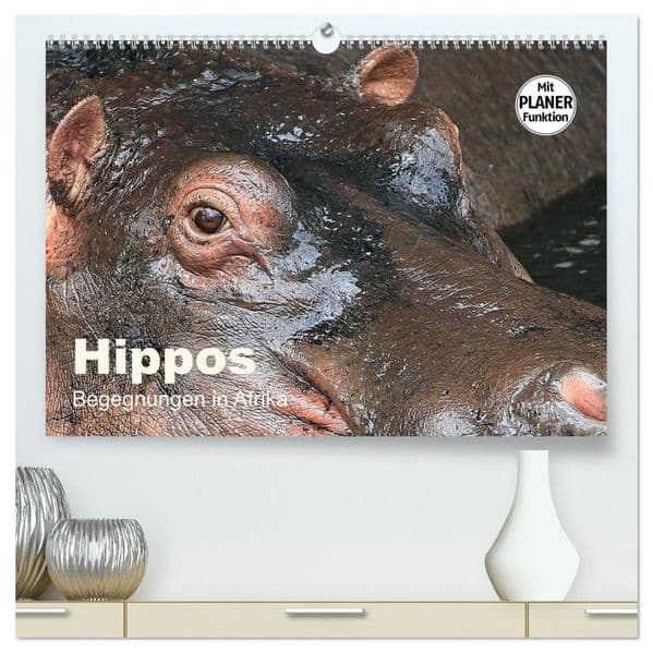 Hippos - Begegnungen in Afrika (hochwertiger Premium Wandkalender 2027 DIN A2 quer), Kunstdruck in Hochglanz