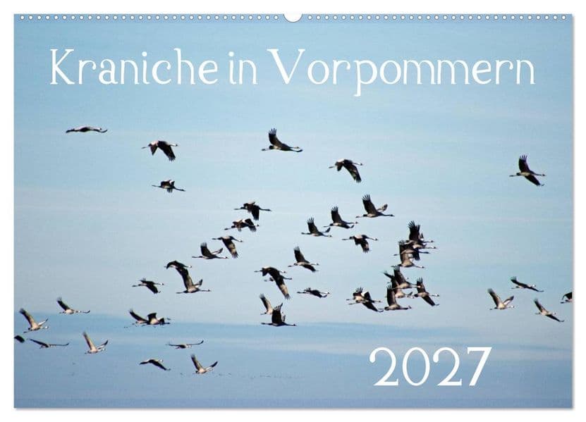 Kraniche in Vorpommern (Wandkalender 2027 DIN A2 quer), CALVENDO Monatskalender