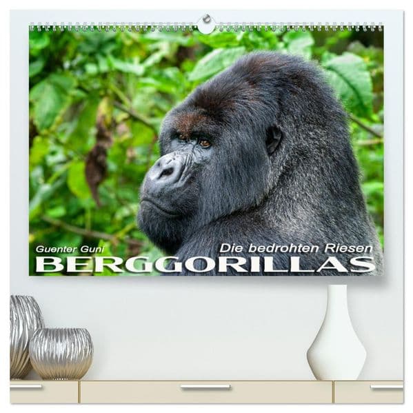Berggorillas: die bedrohten Riesen (hochwertiger Premium Wandkalender 2027 DIN A2 quer), Kunstdruck in Hochglanz