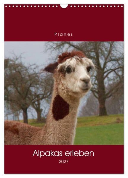 Alpakas erleben (Wandkalender 2027 DIN A3 hoch), CALVENDO Monatskalender