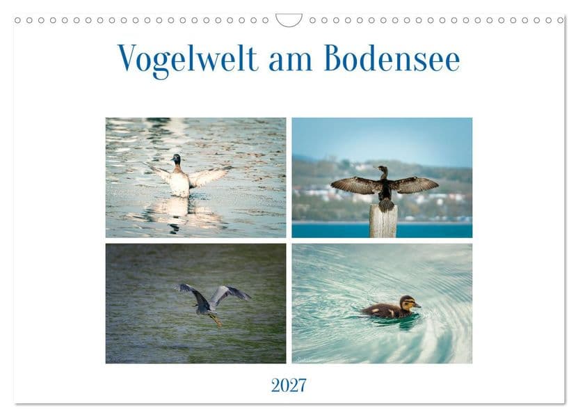 Vogelwelt am Bodensee 2027 (Wandkalender 2027 DIN A3 quer), CALVENDO Monatskalender: Typische Vögel am Bodensee