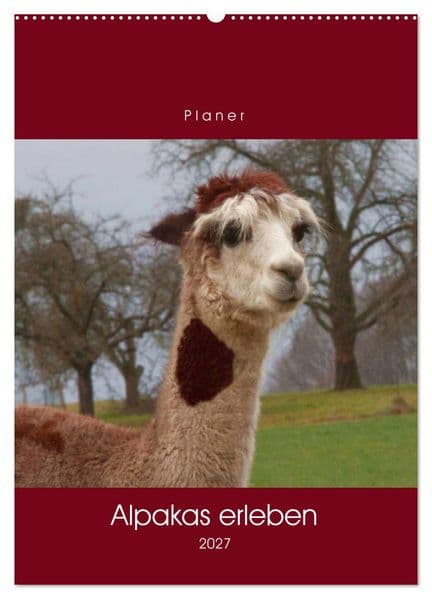Alpakas erleben (Wandkalender 2027 DIN A2 hoch), CALVENDO Monatskalender