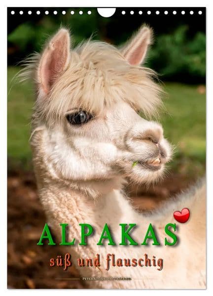 Alpakas - süß und flauschig (Wandkalender 2027 DIN A4 hoch), CALVENDO Monatskalender