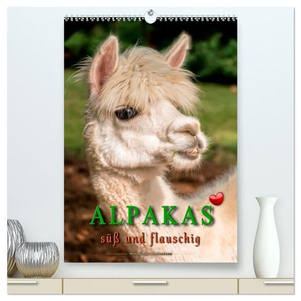 Alpakas - süß und flauschig (hochwertiger Premium Wandkalender 2027 DIN A2 hoch), Kunstdruck in Hochglanz