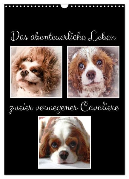 Das abenteuerliche Leben zweier verwegener Cavaliere (Wandkalender 2027 DIN A3 hoch), CALVENDO Monatskalender