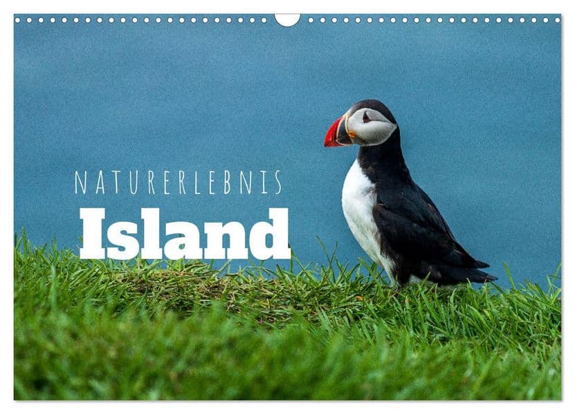 Naturerlebnis Island (Wandkalender 2027 DIN A3 quer), CALVENDO Monatskalender: Panoramen der Insel aus Feuer und Eis