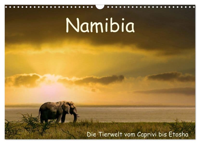Namibia - Die Tierwelt vom Caprivi bis Etosha (Wandkalender 2027 DIN A3 quer), CALVENDO Monatskalender