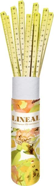 Lineal aus Acryl
