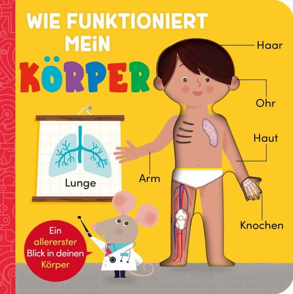 Wie funktioniert mein Körper