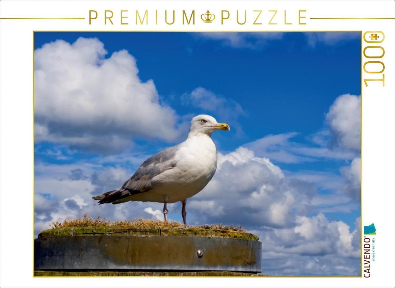 CALVENDO Puzzle Silbermöwe | 1000 Teile Lege-Größe 64 × 48 cm Foto-Puzzle für glückliche Stunden: Möwe auf der Insel Sylt