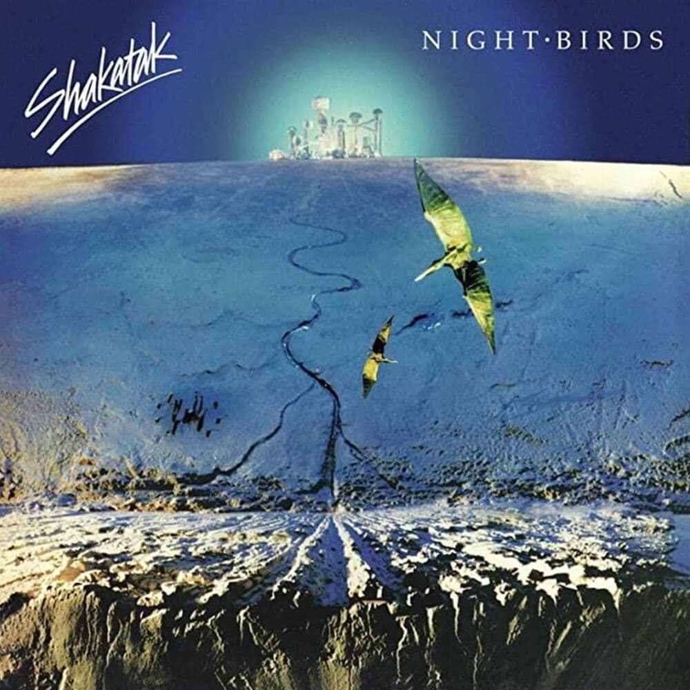 Night Birds,1 Schallplatte (Remastered)