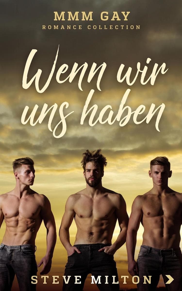 Wenn wir uns haben: MMM Gay Romance Collection