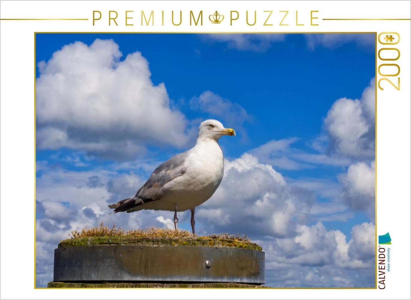 CALVENDO Puzzle Silbermöwe | 2000 Teile Lege-Größe 90 × 67 cm Foto-Puzzle für glückliche Stunden: Möwe auf der Insel Sylt