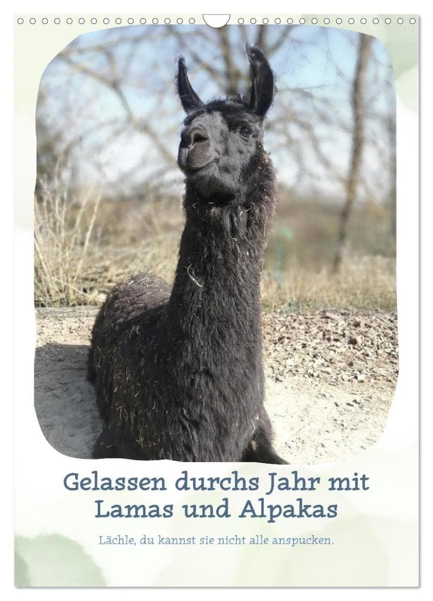 Gelassen durchs Jahr mit Lamas und Alpakas (Wandkalender 2027 DIN A3 hoch), CALVENDO Monatskalender