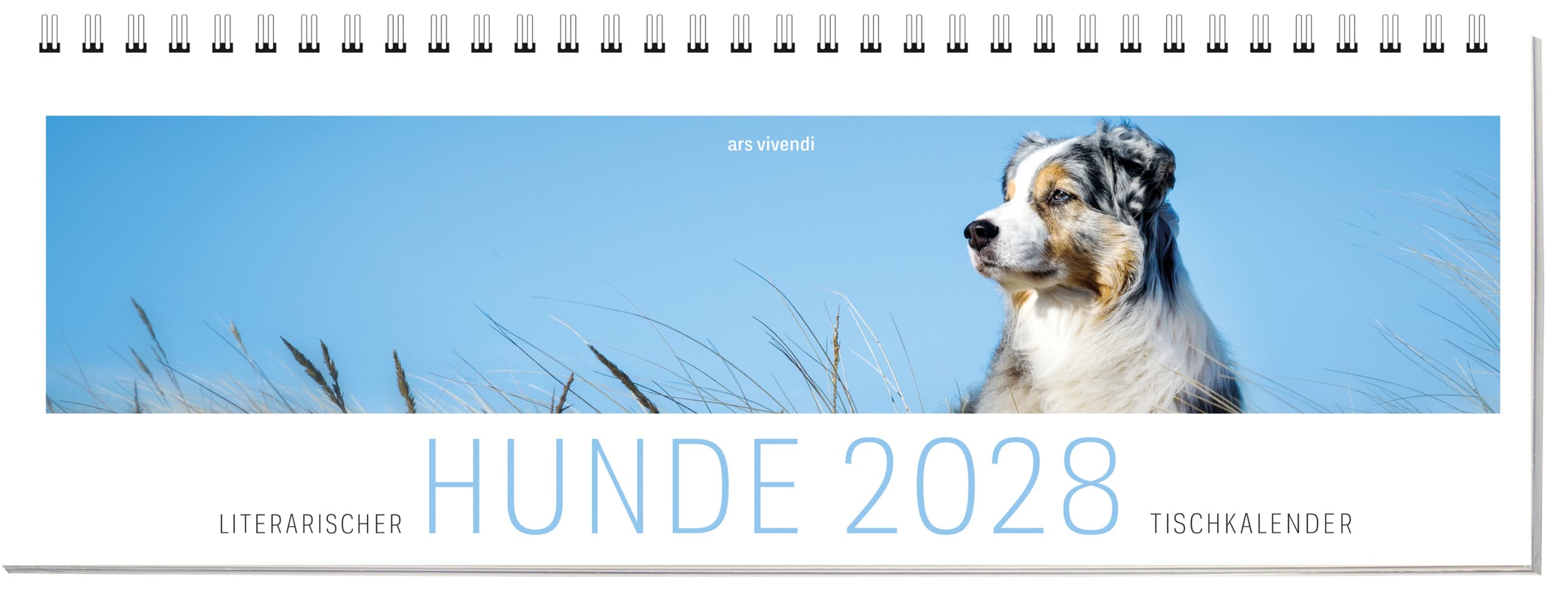 Literarischer HUNDE-Tischkalender 2028