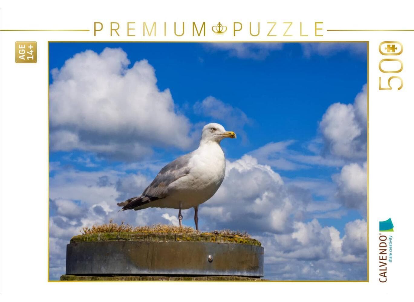 CALVENDO Puzzle Silbermöwe | 500 Teile Lege-Größe 48 × 36 cm Foto-Puzzle für Erwachsene: Möwe auf der Insel Sylt