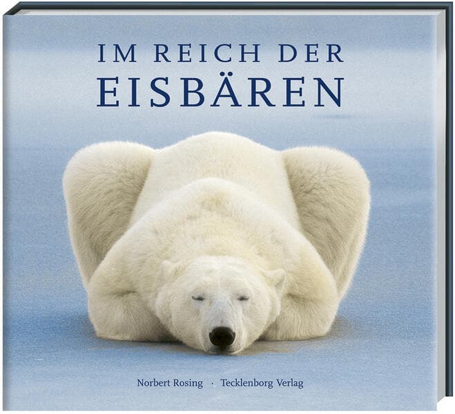 Eisbären: Ein Leben für die Arktis