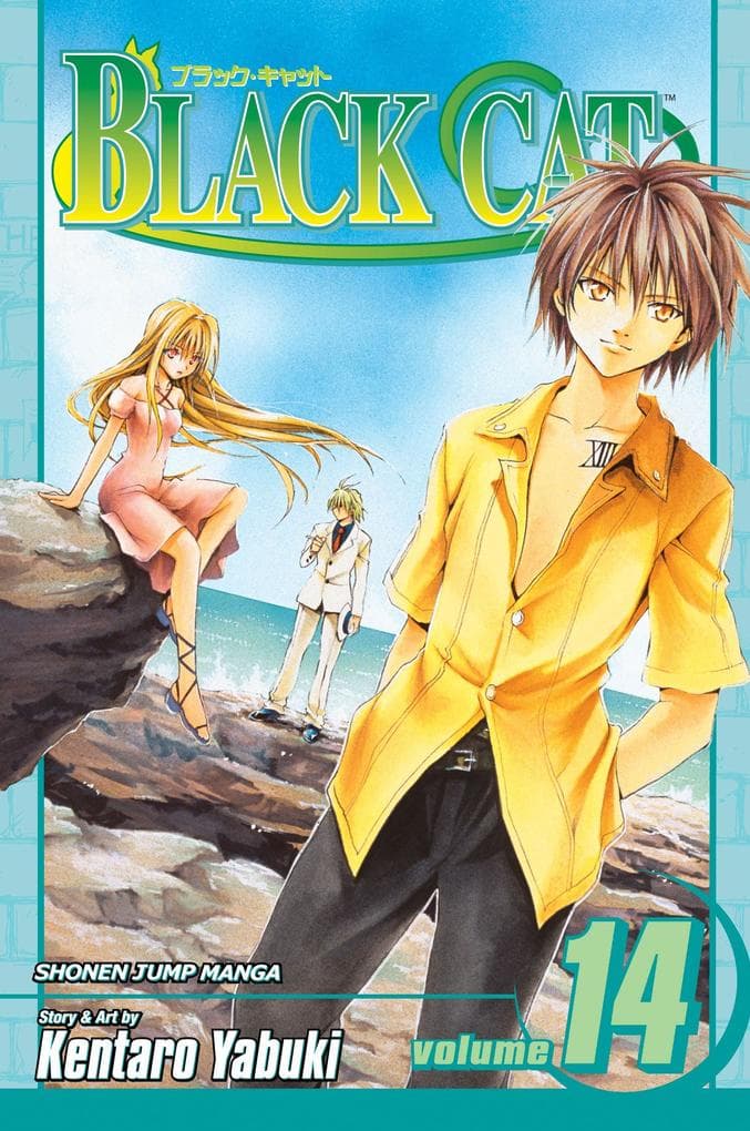 Black Cat, Vol. 14