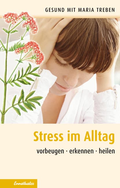 Streß im Alltag: Vorbeugen - erkennen - heilen