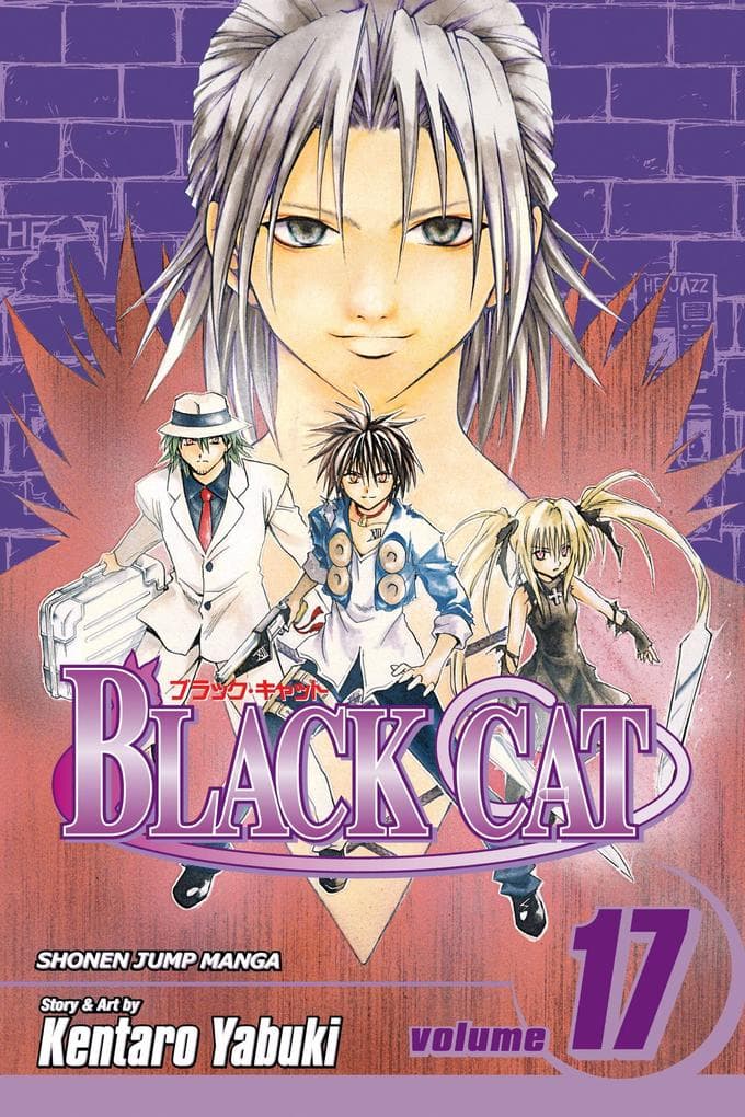 Black Cat, Vol. 17