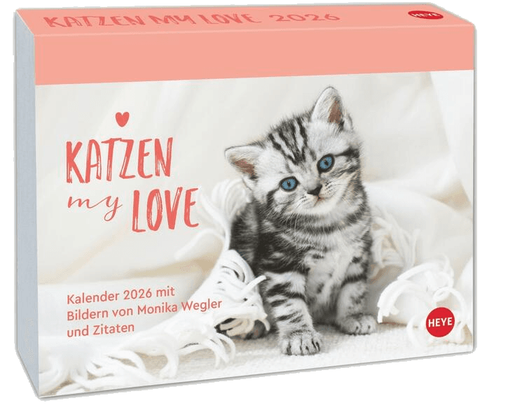 Katzen my love Tagesabreißkalender 2026